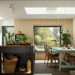 Finestre per Tetti Piani 3