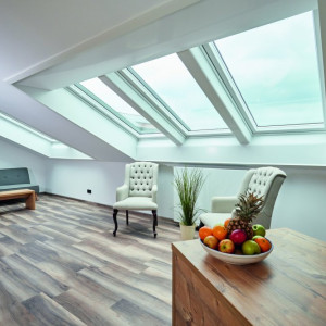 Roto Designo 6